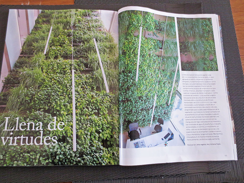 Revista Jardín
